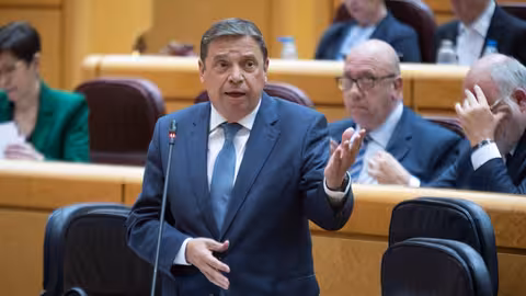 Luis Planas en la sesi&oacute;n de control al Gobierno en el Senado (Foto MAPA)