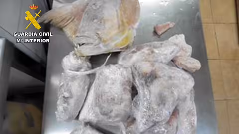 Pescado intervenido en un restaurante de La Uni&oacute;n por falta de trazabilidad (Foto Guardia Civil)