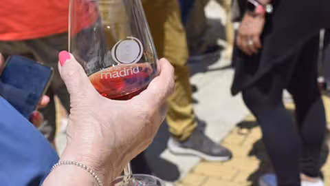 Copa de vino (Foto DOP Vinos de Madrid)