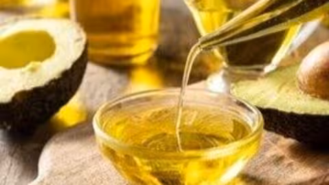 Aceites vegetales (Foto MAPA)