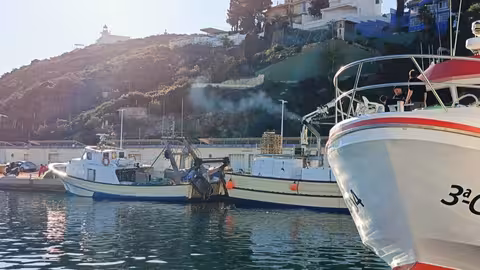 Barcos de pesca en Mazarr&oacute;n (Foto CARM) Archivo