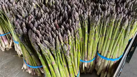 Esp&aacute;rrago verde (Foto Cooperativas AgroAlimentarias)