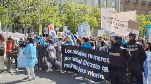 Manifestaci&oacute;n ante el Congreso de los Diputados (Foto Consejo de Colegios Veterinarios) Archivo