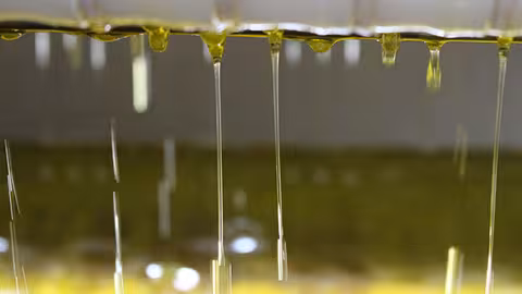 Aceite de oliva en una almazara (Foto Cooperativas AgroAlimentarias Andaluc&iacute;a)
