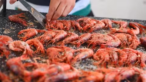 Gamba roja (Foto Junta de Andaluc&iacute;a)