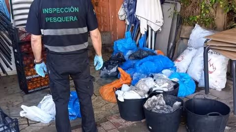 Decomiso de pulpo en Benalm&aacute;dena, M&aacute;laga (Foto Junta de Andaluc&iacute;a)
