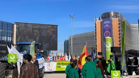 Representaci&oacute;n espa&ntilde;ola en la protesta en Bruselas 'Por una PAC fuerte y con presupuesto' (Foto Asaja) Archivo