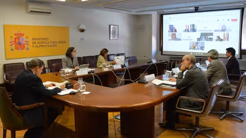 Reuni&oacute;n de la Conferencia Sectorial de Agricultura celebrada por videoconferencia (Foto MAPA)