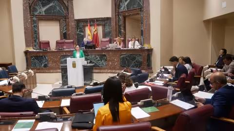 Sara Rubira durante su comparecencia en la Asamblea Regional (Foto CARM)