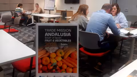 Encuentros B2B Irlanda (Foto Andaluc&iacute;a TRADE)