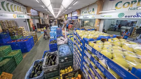Loja hortofrut&iacute;cola (Foto Mercamurcia)