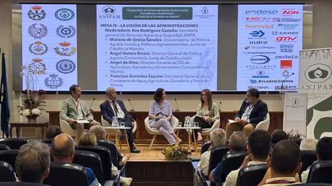 Mesa moderada por secretaria general de recursos agrarios y seguridad MAPA (Foto Instituto de la Ingenier&iacute;a de Espa&ntilde;a)