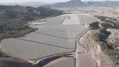 Moyca suma en total 2.300 hect&aacute;reas de cultivo (Foto Moyca)