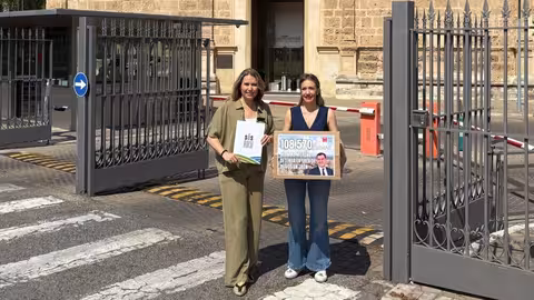 SOS Rural y Campi&ntilde;a Norte entregan m&aacute;s de 108.000 firmas en el Parlamento andaluz para detener ya la tala de olivos tradicionales para instalar megaplantas solares  (Foto SOS Rural)
