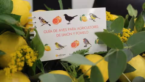 Presentaci&oacute;n de la Gu&iacute;a de Aves en fincas de lim&oacute;n y pomelo (Foto ANSE y Ailimpo)