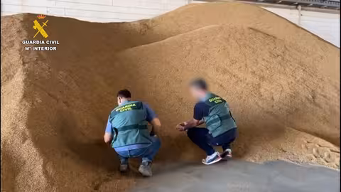 Operaci&oacute;n 'Alxaraf Isle&ntilde;o' sobre arroz robado en Sevilla (Foto Guardia Civil)