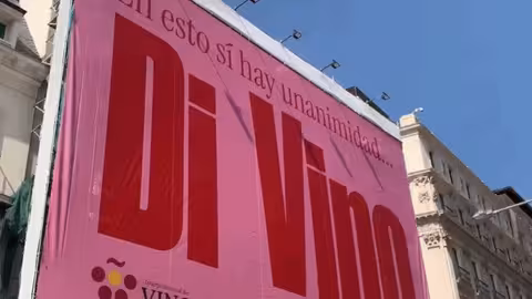 Campa&ntilde;a 'Di vino' frente al Congreso de los Diputados (Foto OIVE)