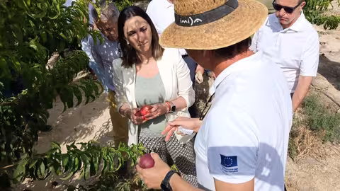 Rubira visita la finca donde trabaja el Imida en el desarrollo de las nuevas variedades de fruta de hueso (Foto CARM)