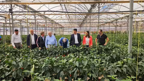 Sara Rubira durante una visita a la plantaci&oacute;n de pimiento ecol&oacute;gico de la empresa Hortamira (Foto CARM) Archivo