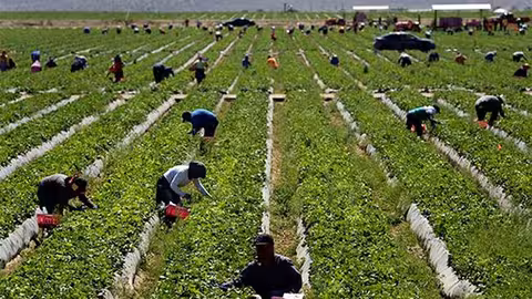 Trabajadores