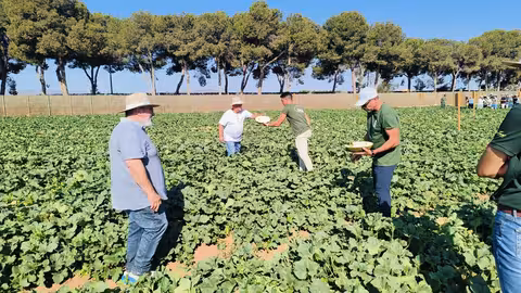 Asistentes a &lsquo;Melon & Watermelon Innovation Days&rsquo; (Foto Proexport)