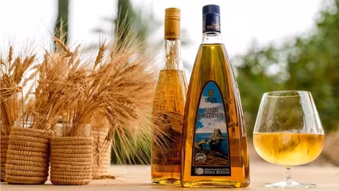 Bodeg&oacute;n de bebidas de Hierbas Familia Mar&iacute; Mayans (Foto MAPA)
