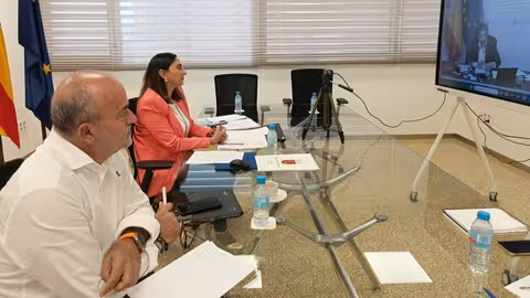 Sara Rubira durante la reuni&oacute;n de la Conferencia Sectorial realizada por videoconferencia (Foto CARM)