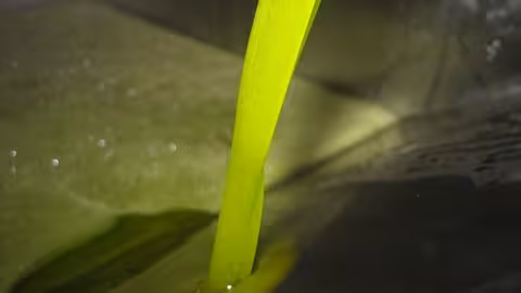 Aceite de oliva (Foto Cooperativas AgroAlimentarias Andaluc&iacute;a)