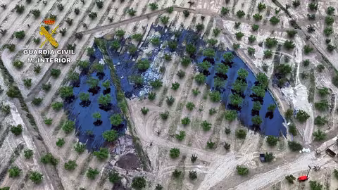 Finca de almendros da&ntilde;ados por un intento de robo en el oleoducto Cartagena-Puertollano a su paso por Calasparra (Foto Guardia Civil)