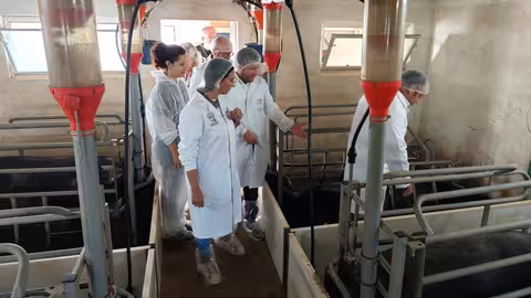 La consejera Sara Rubira visitando la explotaci&oacute;n ganadera de chato murciano de Airemar (Foto CARM)