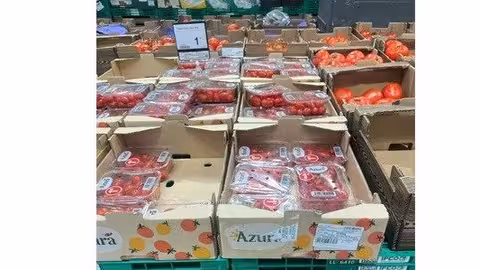 Tomates saharauis etiquetados como marroqu&iacute;es (Foto COAG)
