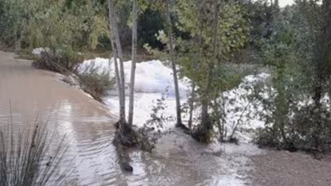 Lluvias en la cuenca del Segura (Foto CHS)