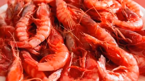 Gamba roja del Mediterr&aacute;neo (Foto MAPA)
