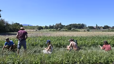 Agricultores en el campo (Foto Coordinadora Europea V&iacute;a Campesina ECVC)