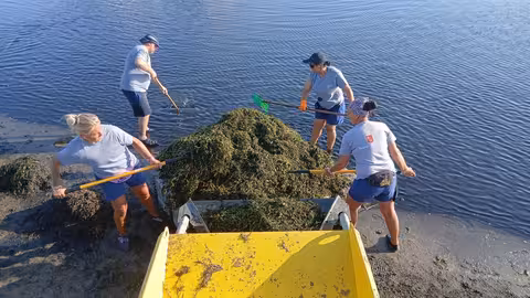 Brigadas de retirada de Biomasa actuando en el Mar Menor (Foto CARM)