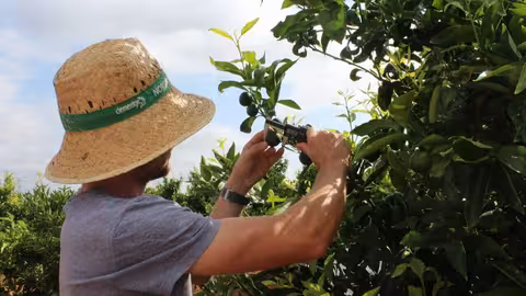 Joven agricultor en el campo (Foto La Uni&oacute;)