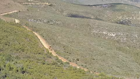 Actuaciones del proyecto europeo FLoRE que se centran en recuperar antiguos cultivos, realizadas en Calasparra (Foto CARM)