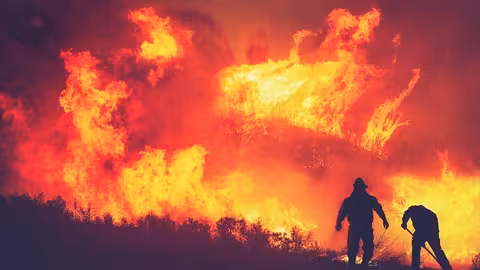 Incendio forestal (Foto Uni&oacute;n de Uniones de CLM)