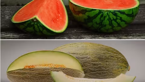 Mel&oacute;n y sandia (Foto MAPA)