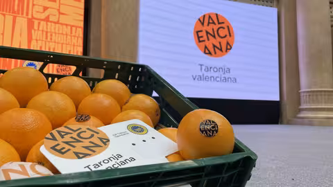 Una caja de naranja valenciana (Foto La Uni&oacute;)
