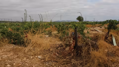 Superficie de la PAC abandonada (Foto La Uni&oacute;)