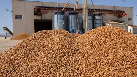 Almendra recolectada en una cooperativa de frutos secos de la Regi&oacute;n de Murcia (Foto Fecoam)