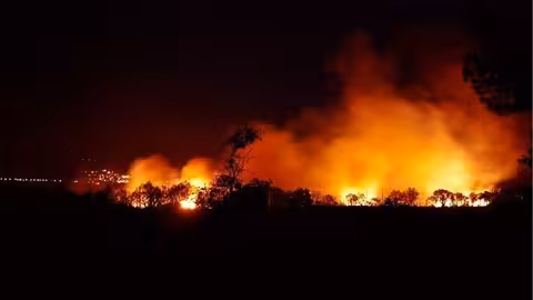 Incendio forestal (Foto Uni&oacute;n de Uniones)