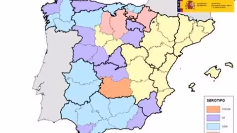 Provincias en las que hasta el momento se han confirmado oficialmente focos de diferentes serotipos del virus de la lengua azul (Foto MAPA)