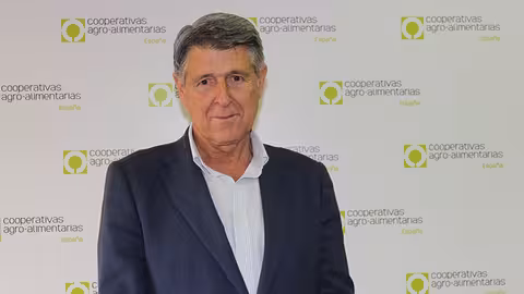 Rafael S&aacute;nchez de Puerta, presidente del Consejo Sectorial de Aceite de Oliva de Cooperativas Agro-alimentarias de Espa&ntilde;a (Foto Cooperativas Agro-Alimentarias)