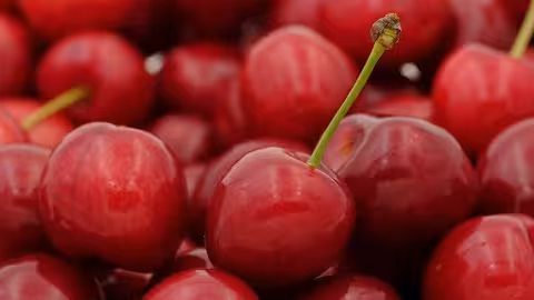 Cerezas (Foto Uni&oacute;n de Uniones)
