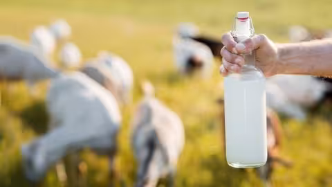 Botella de leche (Foto Uni&oacute;n de Uniones)