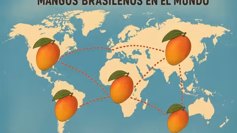 Mangos brasile&ntilde;os en el mundo
