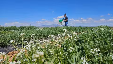 Predicci&oacute;n de plagas con IA en el Campo de Cartagena y Mar Menor (Foto Proexport)