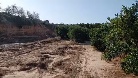 Da&ntilde;os de la DANA en una finca (Foto AVA-Asaja)